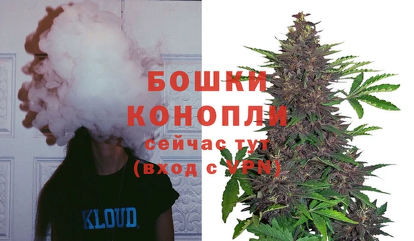 ПСИЛОЦИБИНОВЫЕ ГРИБЫ Богородск