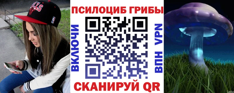 Псилоцибиновые грибы GOLDEN TEACHER  Вельск 